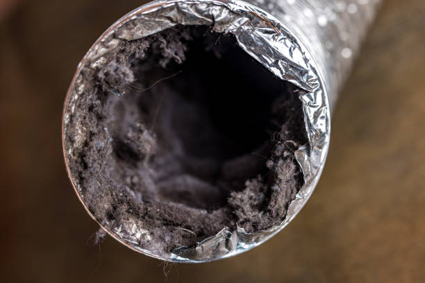 Best HVAC System Cleaning  in Abram, TX