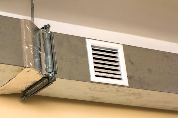 Best Local Air Duct Cleaning Services  in Abram, TX